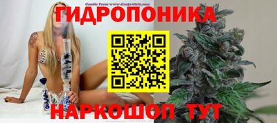Альфа ПВП Донецк