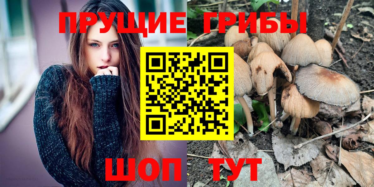 Псилоцибиновые грибы Psilocybine cubensis  Вход с VPN  Кулебаки  Псилоцибиновые грибы прущие грибы 