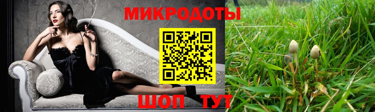 Псилоцибиновые грибы мицелий Кулебаки